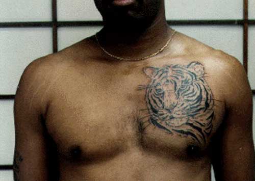 татуировка тигра на груди