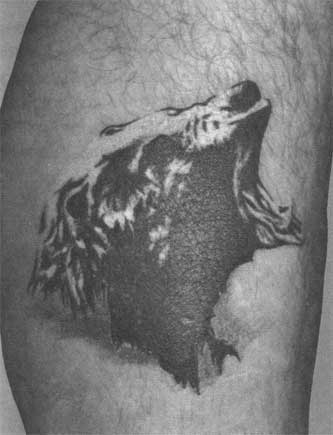 татуировка медведя