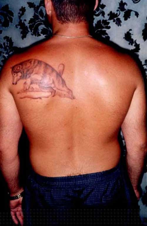 татуировка волка на спине