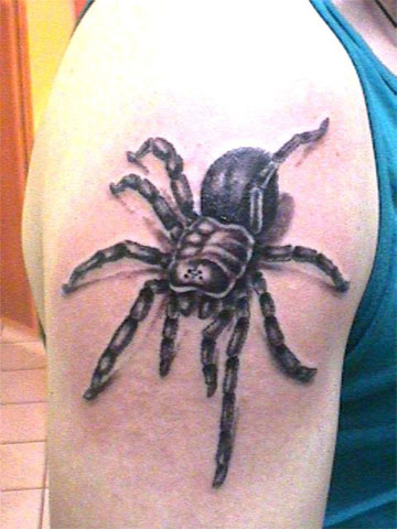 татуировка паука