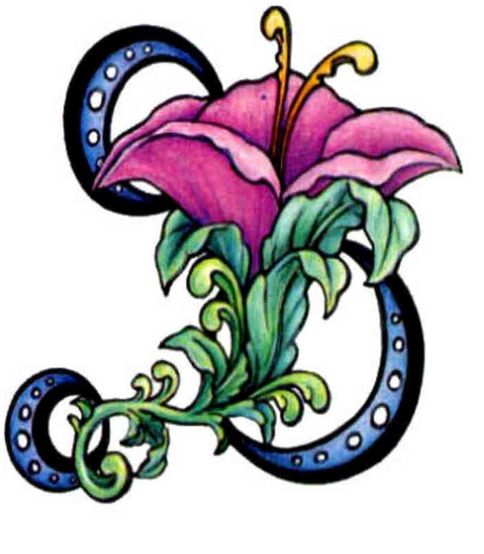 лилия растение