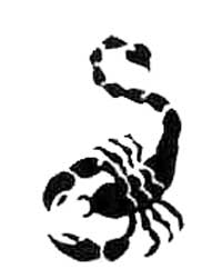 картинка скорпиона