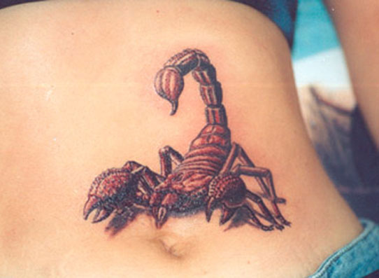 Цветная татуировка красного скорпиона возле пупка - ТАТУИРОВКИ СКОРПИОНА